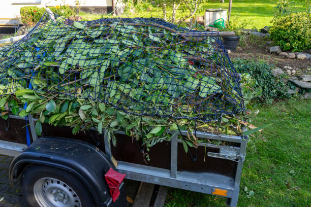 Best Shed Removal  in Hope Valley, RI